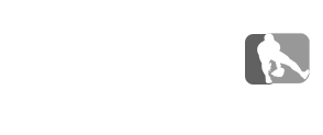 High School Baseball Network, Inc